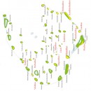 thumb_Noonu-Atoll-Map