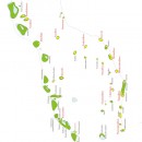 thumb_shaviyani-Atoll-Map
